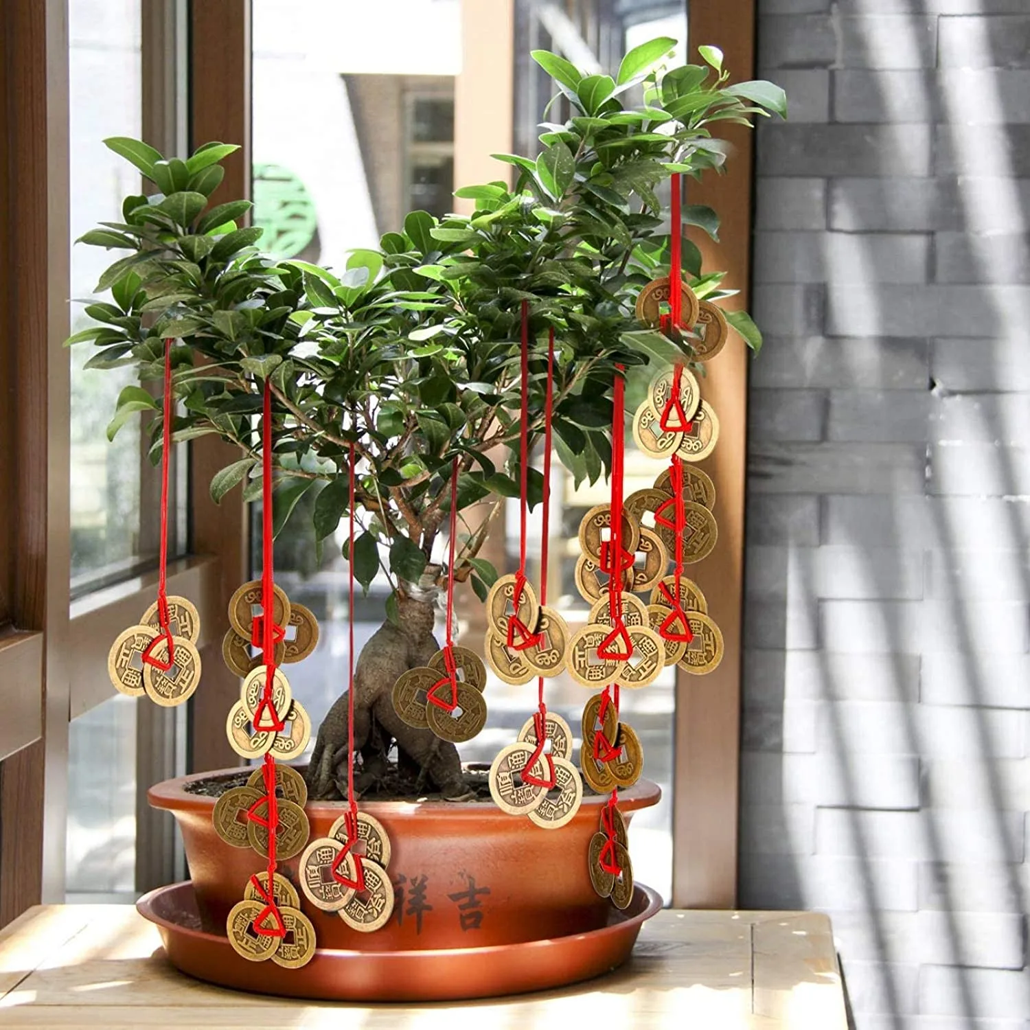Bonsai monedas feng shui de la abundancia - armonia feng shui